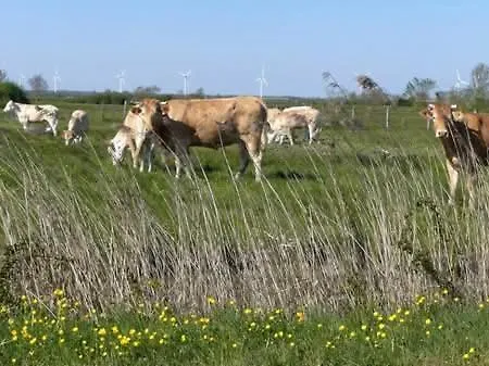 Bed & Breakfast D'hote Avec Salle De Bain Cosy Au Coeur Du Marais De 3*